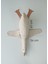 zoi Uyku Arkadaşı-44*36 cm 2