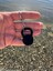 Kettlebell Anahtarlık Plastik 2