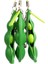 4pc Tarzı Fidget Oyuncak Squishies Fasulye Stres Rahatlatıcı Dekompresyon Anahtarlık Sonsuz Sıkmak Edamame Antistres Oyuncaklar Süslemeleri Çocuklar Hediye (Yurt Dışından) 4
