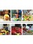 12 Adet Tarzı 1 Takım Çocuk Oyun Evi Oyuncak Kesim Meyve Plastik Sebzeler Mutfak Bebek Klasik Çocuk Oyuncakları Playset Eğitici Oyuncaklar Pretend (Yurt Dışından) 4