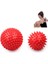 Mavi Stil Pvc Catch Fitness Ball Hedgehog Training Grip Ball Portable Physiotherapy Massage Ball (Yurt Dışından) 3