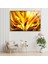 3D Altın Soyut Resim Temperli Cam Duvar Tablosu 5