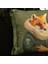 Mr. Fox Dekoratif Kırlent 2