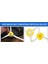 Irobot Roomba 630 650 760 ile Uyumlu Rulo Fırça Yan Hepa Filtresi (Yurt Dışından) 4