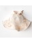 Kız Bebek Şapka Hat Muslin Pretty Flowers AC24676 1