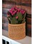 Dekoratif Rattan Düzenleyici Banyo Organizer Mutfak Kaşıklık Çok Amaçlı 15 x 15 cm Oceanpoint 2
