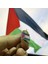 Filistin Bayrağı Kudüs - Palestine Metal Yaka Iğnesi Gümüş 5 Adet Rozet 4