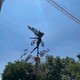 Seçili Renk Renkli