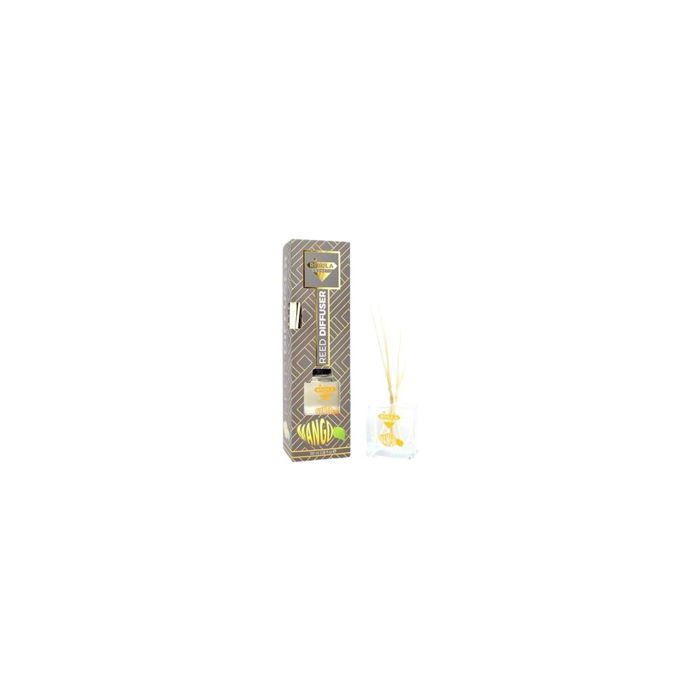 Rivola Oda Kokusu Mango Bambu Çiçek Aroması 100 ml Kaliteli Bambu Malzeme