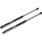 Bita Autoparts Fiat Linea Bagaj Amortisörü 2007 ve Sonrası - 2 Adet 29cm 380Nm