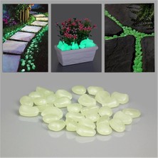 Tam İthalat Dekoratif Fosforlu Çakıl Taşları (50 Adet)