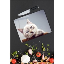 Pi Dekorasyon Kedi Desen Cam Kesme Tablası