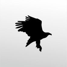 Technopa Folyo Sticker Kartal 108