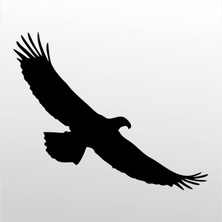 Technopa Folyo Sticker Kartal 106