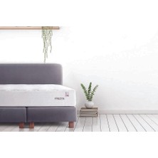 Işbir Yatak Frezya Süper Ergonomik Paket Yaylı Yatak 090X190