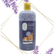 Gallipoli Lavender Lavanta Yağlı Pet Şampuanı 400 ml Kedi Şampuanı Köpek Şampuanı Organik Lavanta Koku Gideren Şampuan