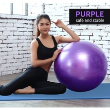 Biotech Mor Pilates Topu - Pompa Hediyeli 65 cm Yoga Topu Spor Salonu Denge Topu Dayanıklı Fitness Top