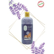 Gallipoli Lavender 5 Adet Gallipoli Lavender Lavanta Yağlı Pet Şampuanı 400 ml