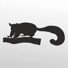 Technopa Folyo Sticker Kokarca 114