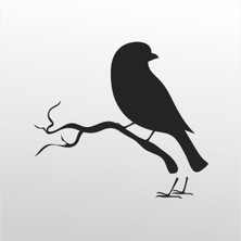 Technopa Folyo Sticker Kuş 101