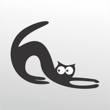 Technopa Folyo Sticker Kedi 115