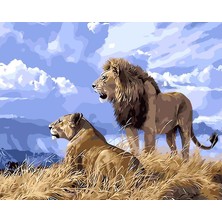 Womb Hobby Aslan Sürüsü Sayılarla Boyama SetiTuvale Gerili 40 x 50 cm