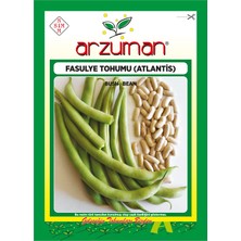 Arzuman Atlantis (Kırk Günlük) Oturak Fasülye Tohumu 50 Gram