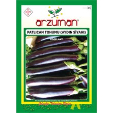 Arzuman Aydın Siyahı Patlıcan Tohumu 10 Gram