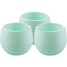 Emek Dekoratif 3 'lü 145 Sahra Kaktüs Saksı 0.55 Lt