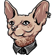Sticker Fabrikası Sfenks Kedi Sticker 00451