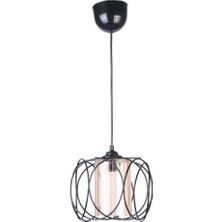 Decor Life Olimpiyat Tekli