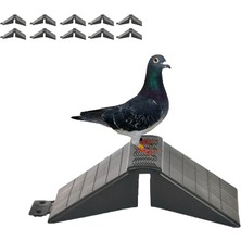 Endiket Tünek Güvercin Bekar Tüneği 15 Adet Plastik Kuş Pigeon