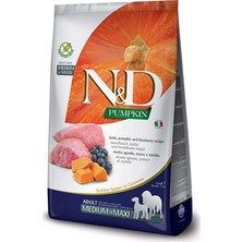 N&d Balkabaklı Kuzu Etli Medium Maxi Tahılsız Köpek Maması 2.5 kg
