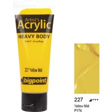 Bigpoint Akrilik Boya 75 Ml Yellow Mid 227