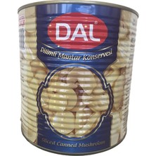 Dal Dilimli Mantar Konserve 2550 GR (BRÜT) / 1150 GR (SÜZME)