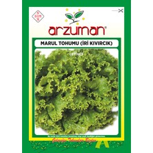 Arzuman Iri Kıvırcık Marul Tohumu 10 Gram