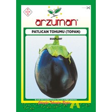 Arzuman Topan Patlıcan Tohumu 10 Gram