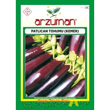 Arzuman Kemer Patlıcan Tohumu 10 Gram