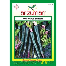 Arzuman Mor Havuç Tohumu 10 Gram