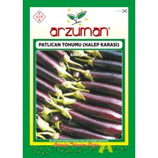 Arzuman Halep Karası Patlıcan Tohumu 10 Gram