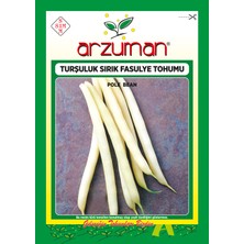 Arzuman Hanımteni (Turşuluk) Sırık Fasülye Tohumu 50 Gram