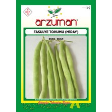 Arzuman Miray (Magnum Tipi) Oturak Fasülye Tohumu 50 Gram