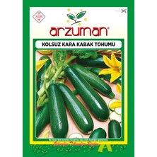 Arzuman Siyah Kabak Tohumu 10 Gram