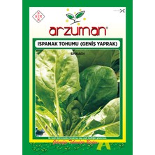 Arzuman  (Ithal) Ispanak Tohumu 25 Gram