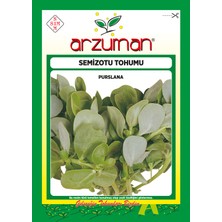 Arzuman Yeşim Semizotu Tohumu 10 Gram