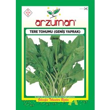 Arzuman Tere Tohumu (25 Gr) Arzuman