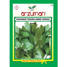 Arzuman Maydanoz Tohumu (Geniş Yaprak) 25 gr Aromatik Kokulu