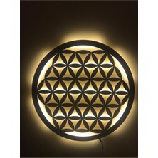 Dekoraven Yaşam Çiçeği LED Işıklı Tablo