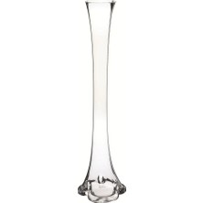Nettenevime Fil Ayağı Vazo Cam Vazo 60CM Ince Belli Vazo
