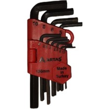 Artaş Allen Seti 10'lu